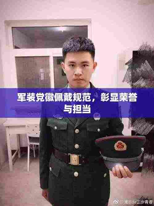 军装党徽佩戴规范,彰显荣誉与担当