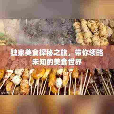 独家美食探秘之旅,带你领略未知的美食世界