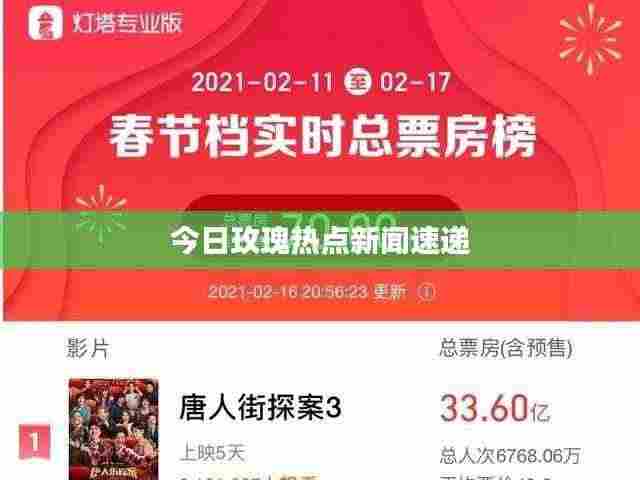 今日玫瑰热点新闻速递