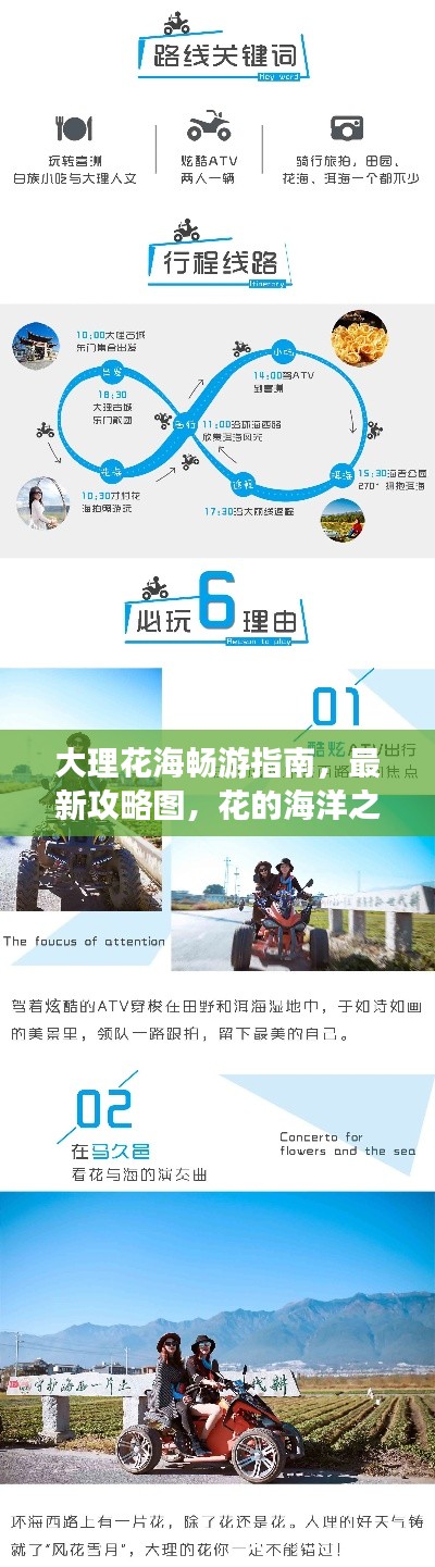 大理花海畅游指南,最新攻略图,花的海洋之旅