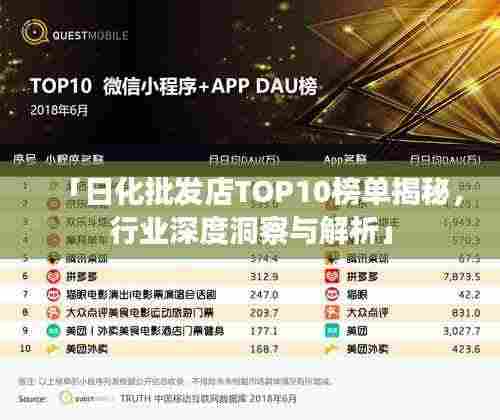 「日化批发店TOP10榜单揭秘,行业深度洞察与解析」