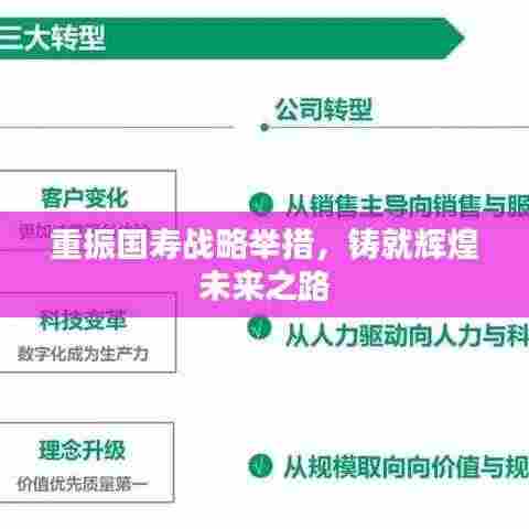 重振国寿战略举措,铸就辉煌未来之路