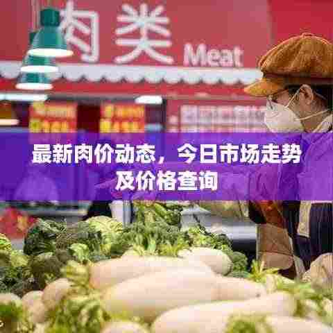 最新肉价动态,今日市场走势及价格查询
