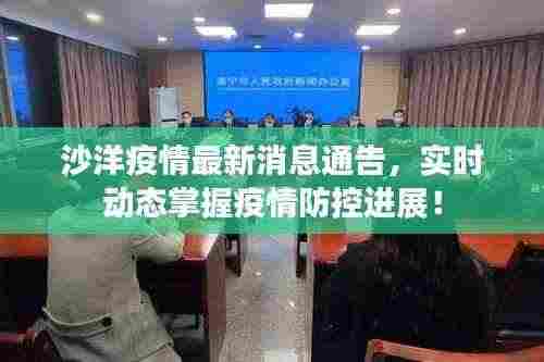 沙洋疫情最新消息通告，实时动态掌握疫情防控进展！