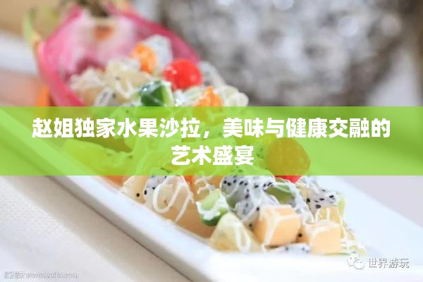赵姐独家水果沙拉，美味与健康交融的艺术盛宴