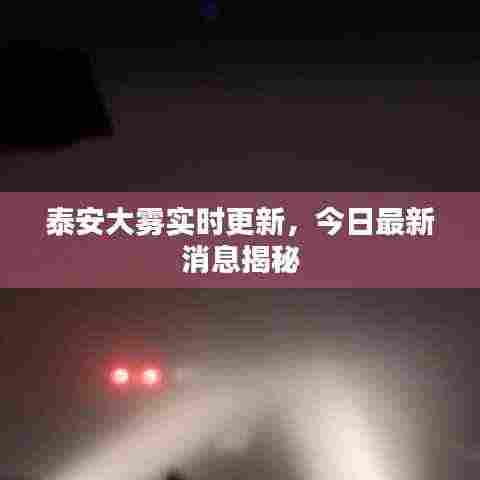 泰安大雾实时更新,今日最新消息揭秘
