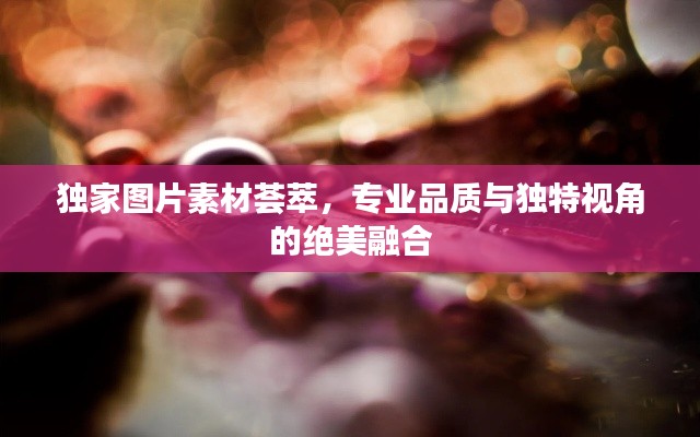 独家图片素材荟萃，专业品质与独特视角的绝美融合