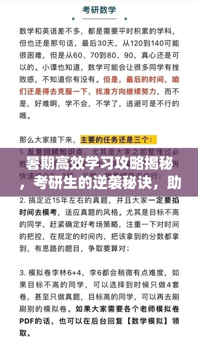 暑期高效学习攻略揭秘,考研生的逆袭秘诀,助力备考成功!