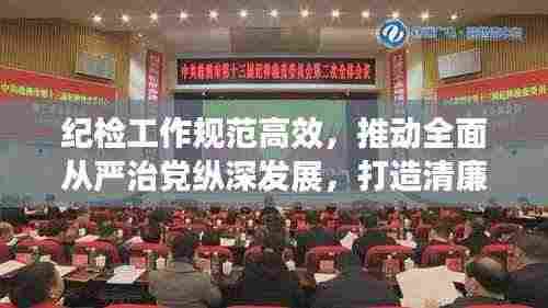纪检工作规范高效,推动全面从严治党纵深发展,打造清廉新时代