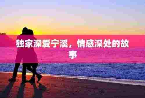 独家深爱宁溪,情感深处的故事