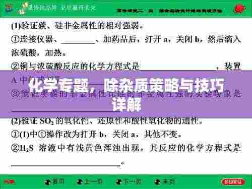 化学专题,除杂质策略与技巧详解