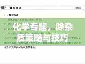 化学专题,除杂质策略与技巧详解