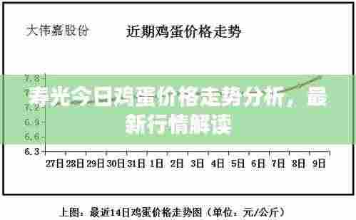 寿光今日鸡蛋价格走势分析,最新行情解读