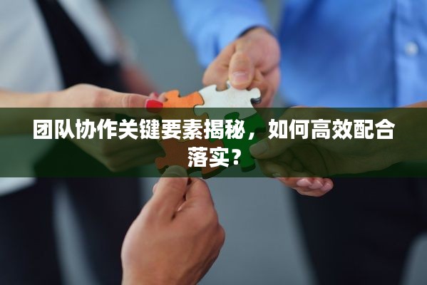 团队协作关键要素揭秘，如何高效配合落实？