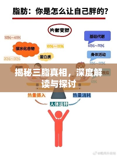 揭秘三脂真相，深度解读与探讨