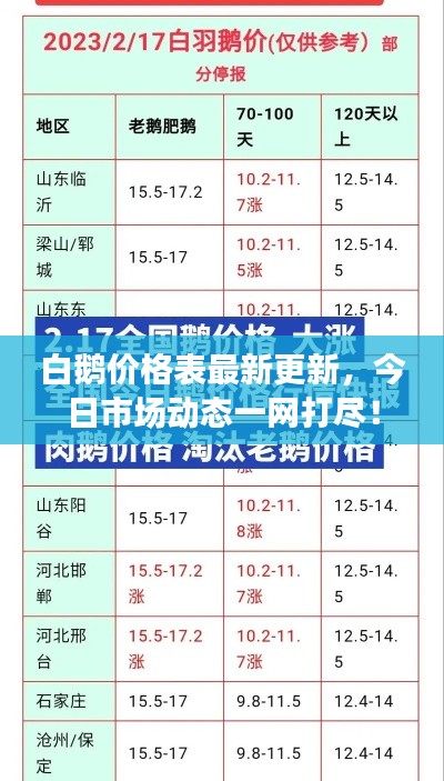 白鹅价格表最新更新,今日市场动态一网打尽!