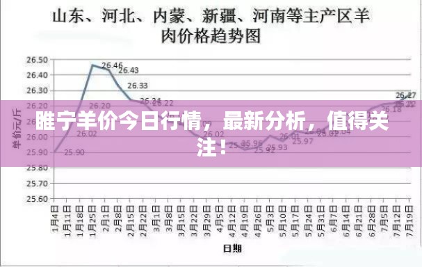 睢宁羊价今日行情，最新分析，值得关注！