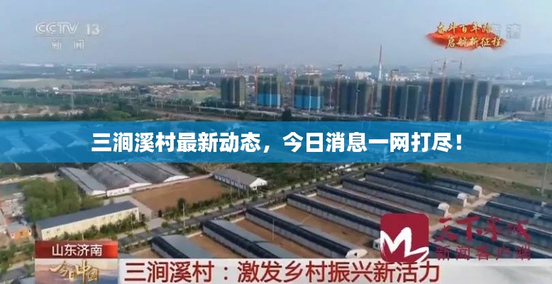 三涧溪村最新动态,今日消息一网打尽!
