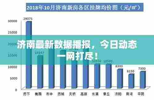 济南最新数据播报，今日动态一网打尽！