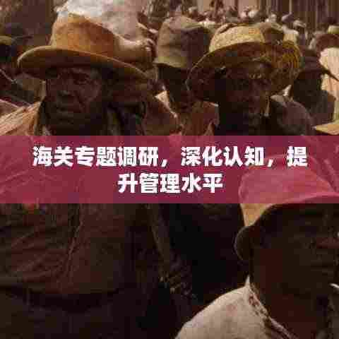 海关专题调研,深化认知,提升管理水平