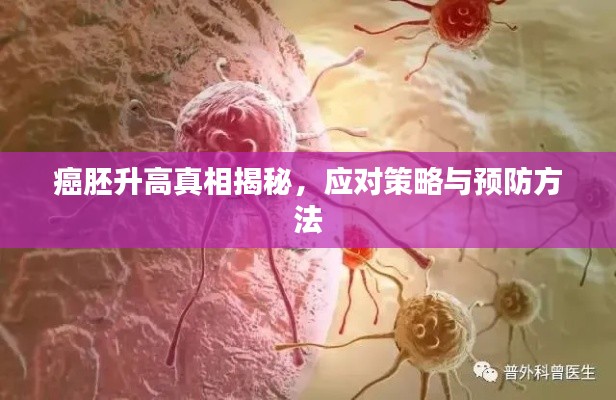 癌胚升高真相揭秘,应对策略与预防方法