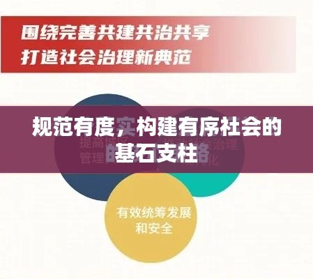 规范有度,构建有序社会的基石支柱