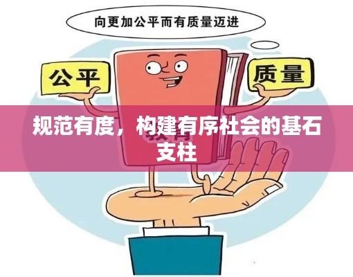 规范有度,构建有序社会的基石支柱