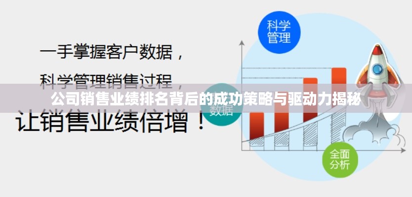 公司销售业绩排名背后的成功策略与驱动力揭秘