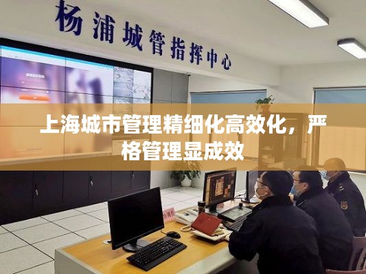 上海城市管理精细化高效化,严格管理显成效
