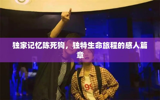 独家记忆陈死狗,独特生命旅程的感人篇章