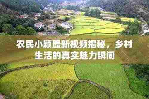 农民小颖最新视频揭秘,乡村生活的真实魅力瞬间